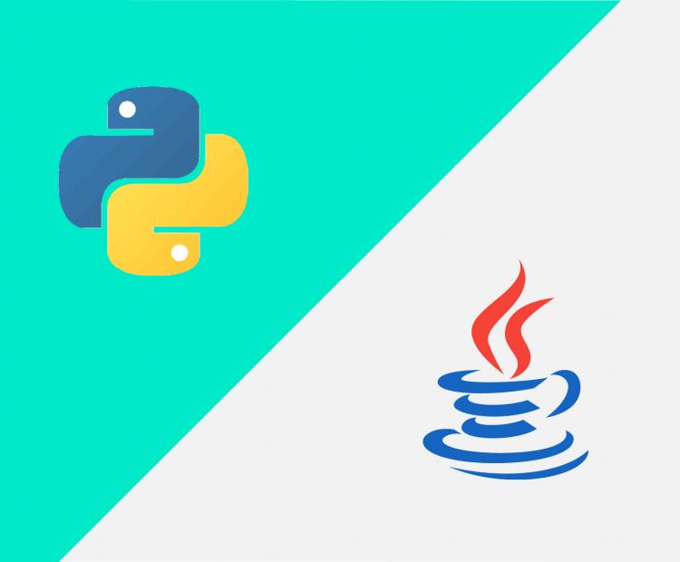 java python