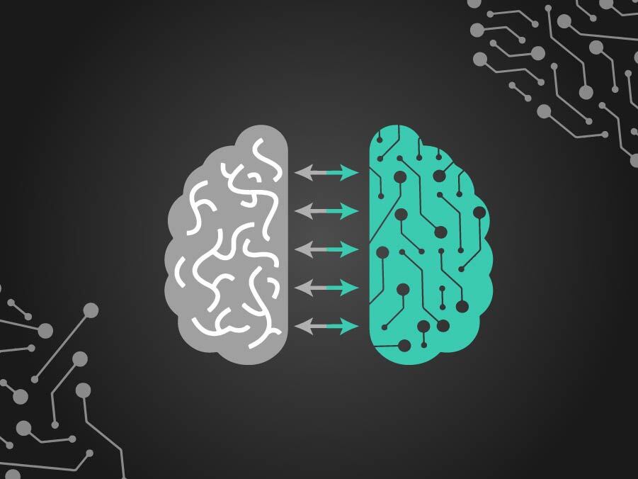 What You Need to Know About GPTs 11 GPTsexplained