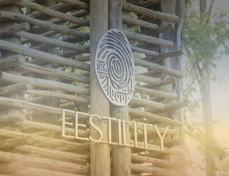 A RECAP OF FESTILITY: ESSENTIALLY US 4 festility: essentially us